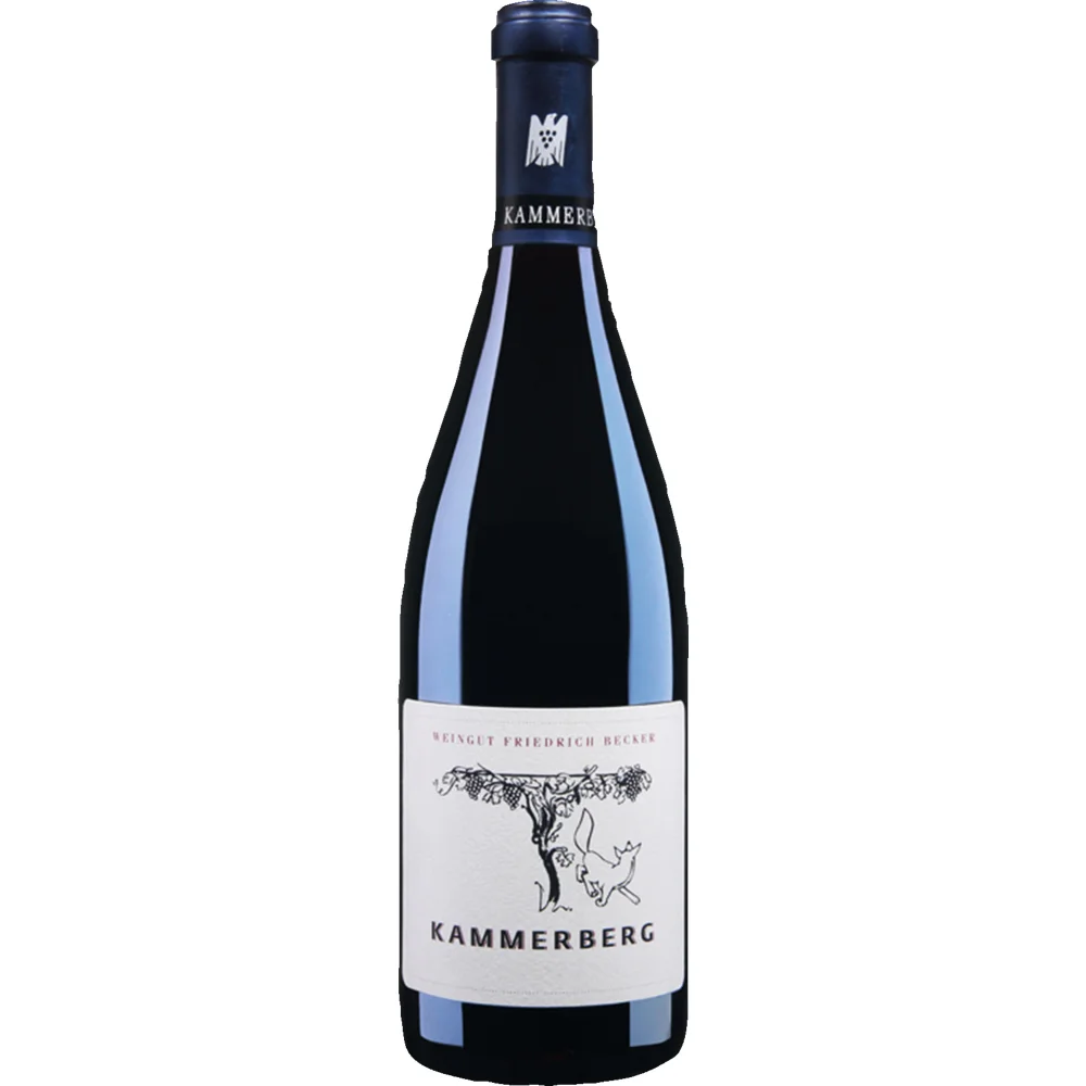 Kammerberg Spätburgunder GG, Trocken, Pfalz, Pfalz, 2021, Rotwein