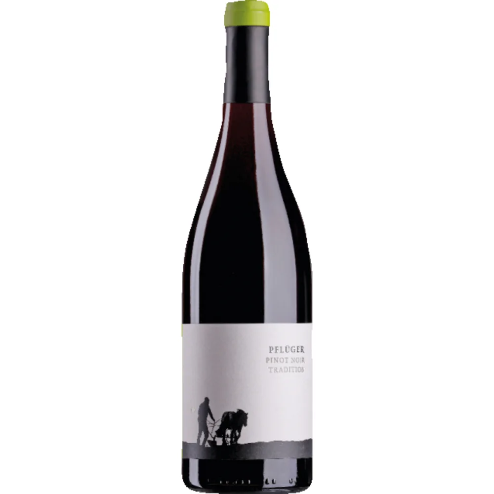 Tradition Pinot Noir, Trocken, Pfalz, Pfalz, 2023, Rotwein