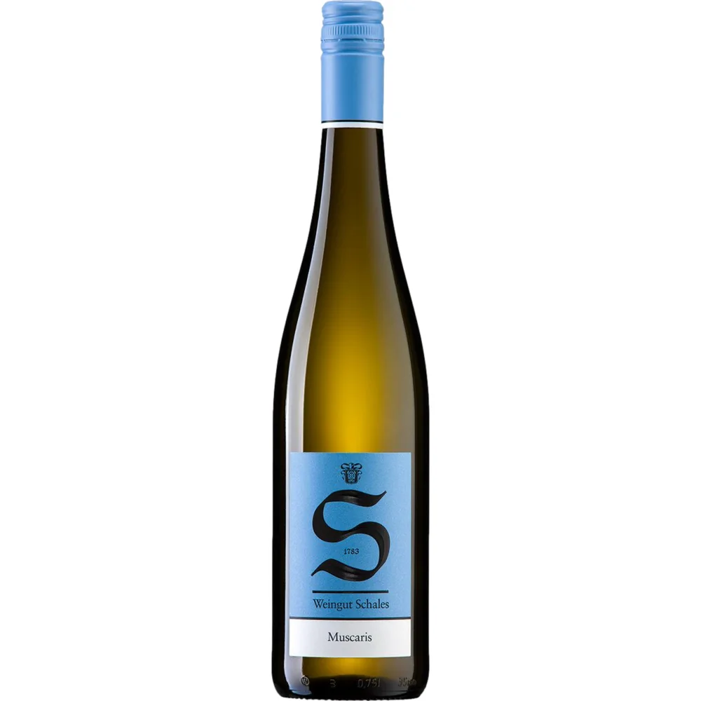 Schales Muscaris, Feinfruchtig, Rheinhessen, Rheinhessen, 2025, Weißwein