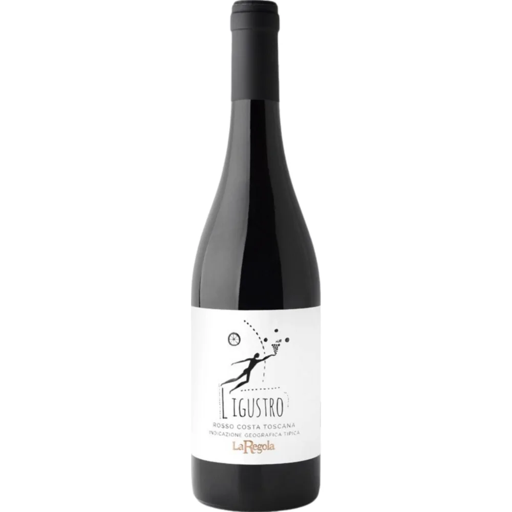Tommasi Valpolicella, Valpolicella DOC, Venetien, 2024, Rotwein