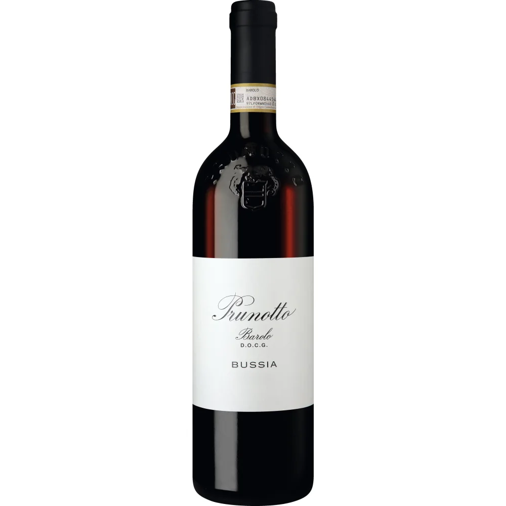 Bussia Barolo, Barolo DOCG, Piemont, 2021, Rotwein