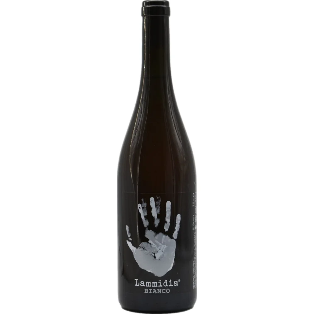 Lammidia Orange Bio, Vino d'Italia, Abruzzen, 2022, Weißwein