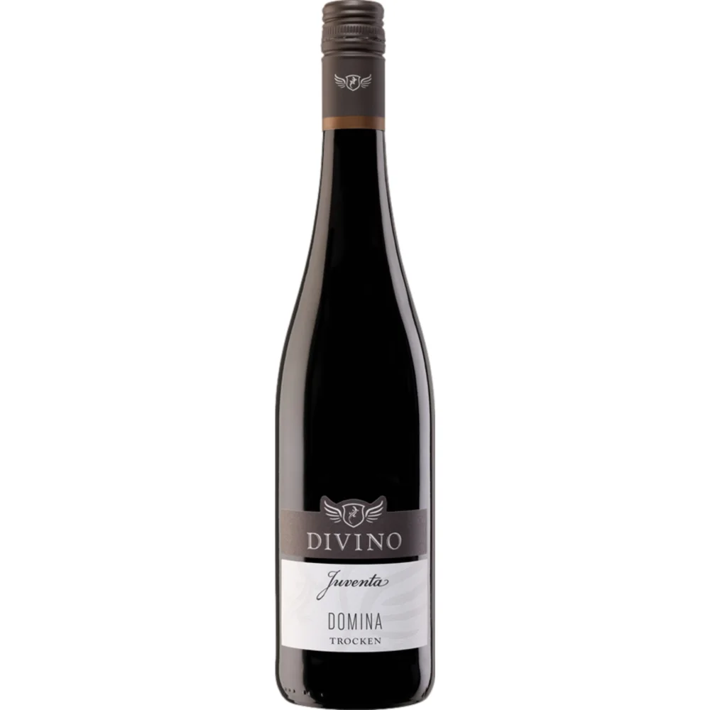 Divino Juventa Domina, Trocken, Franken, Franken, 2024, Rotwein
