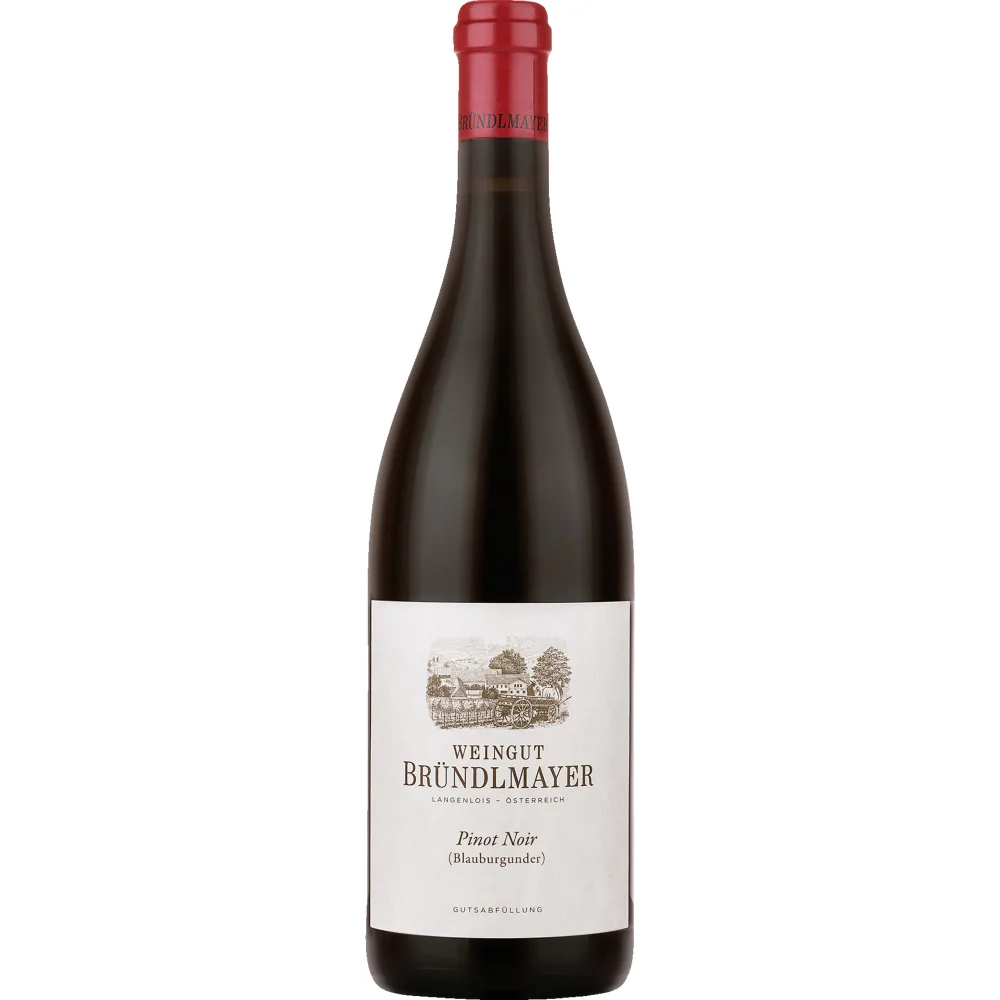 Bründlmayer Pinot Noir Bio, Trocken, Niederösterreich, Niederösterreich, 2022, Rotwein