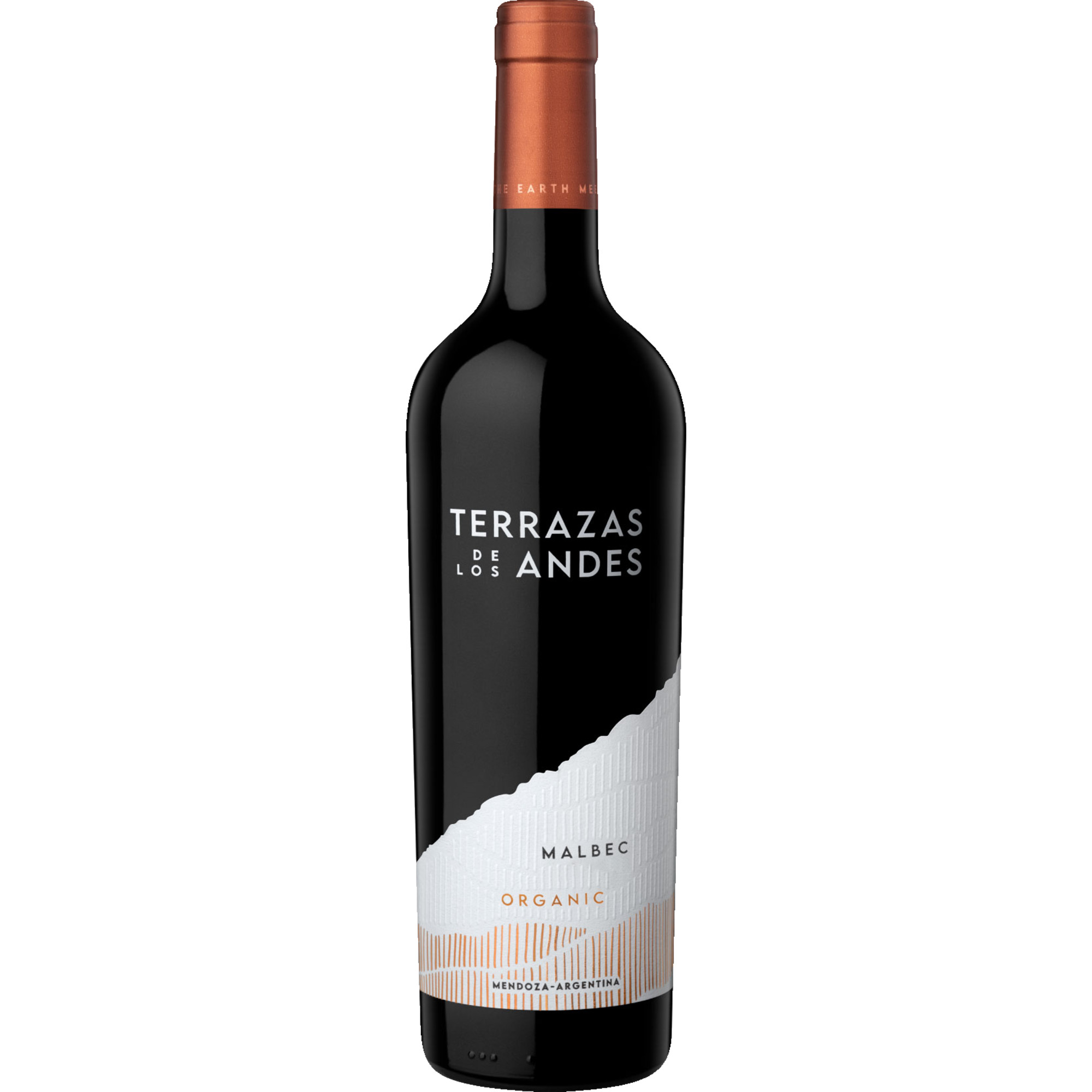 Coto de Hayas Tinto 2022 0.75L 13.5% Vol. Rotwein Trocken aus Spanien