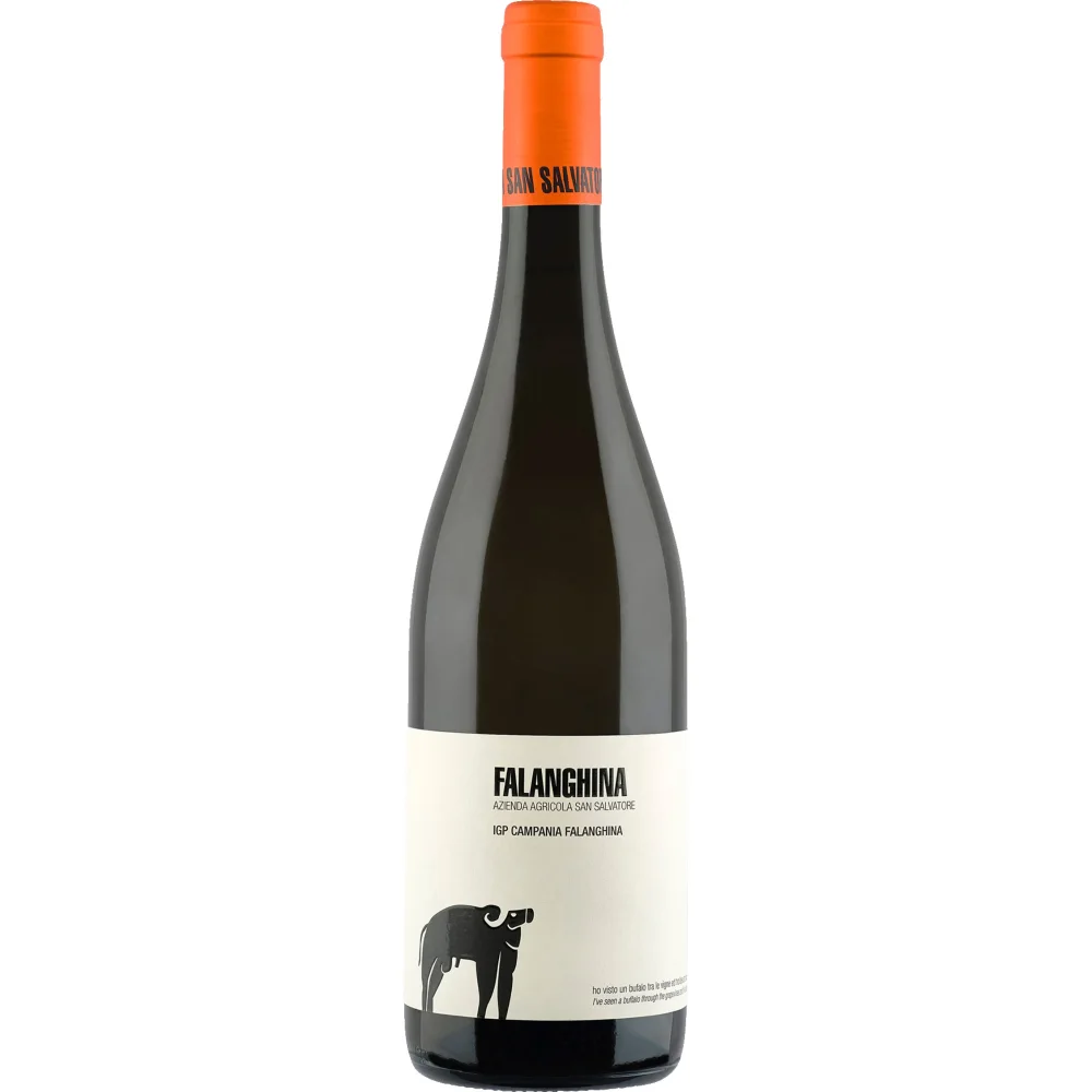 San Salvatore Falanghina Bianco, Campania IGP, Kampanien, 2025, Weißwein