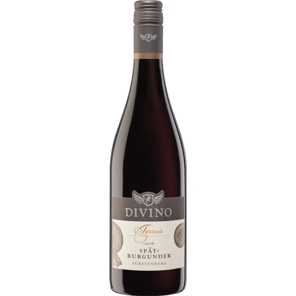 Terroir Escherndorfer Fürstenberg Spätburgunder, Trocken, Franken, Franken, 2022, Rotwein