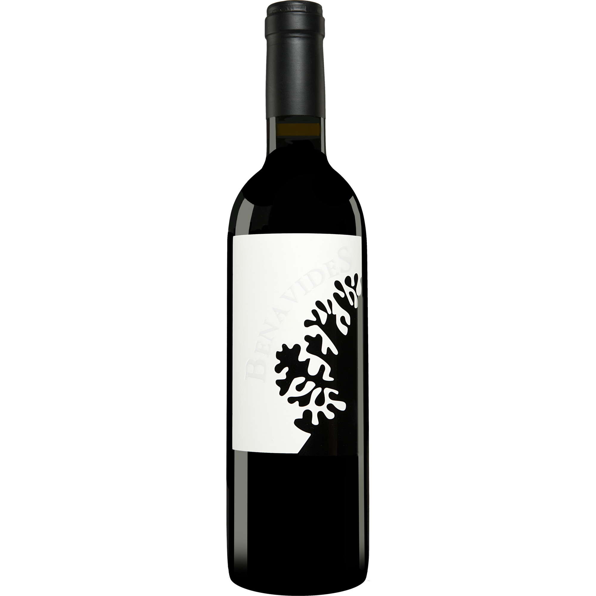 Protos Crianza 2019 0.75L 14.5% Vol. Rotwein Trocken aus Spanien