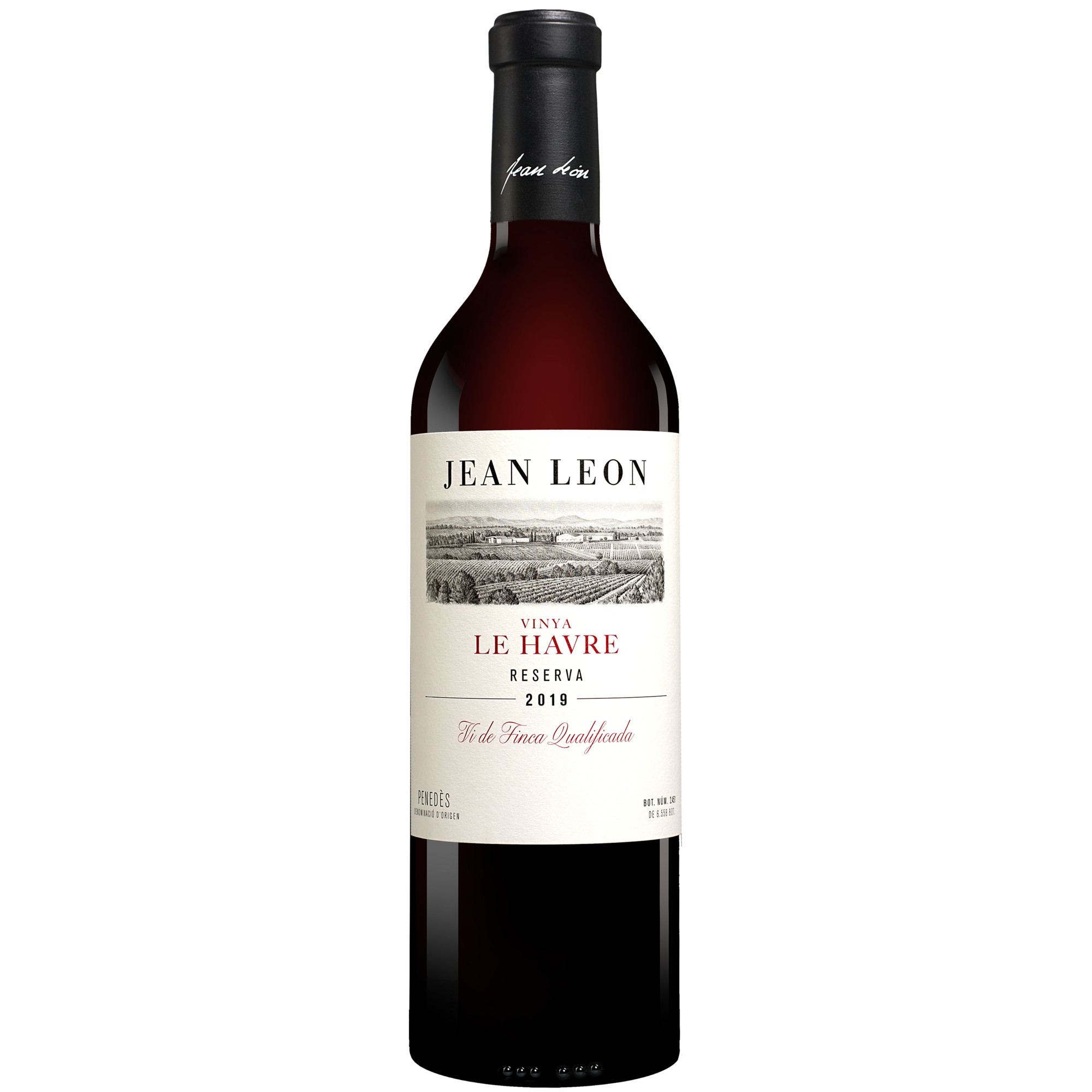 Freixenet »Mederaño« Tinto Lieblich 2021 0.75L 12% Vol. Rotwein Lieblich aus Spanien