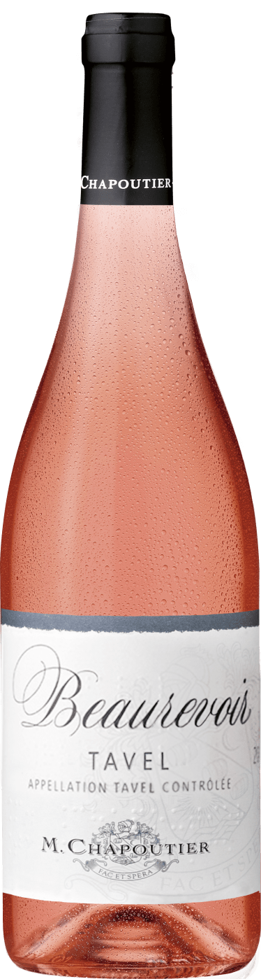 Seckinger Linse Chardonnay 2021