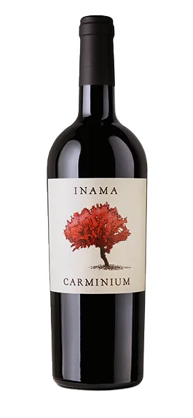 "Carminium" Carmenere Colli Berici DOC 2022