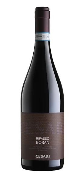 Valpolicella Ripasso DOC Superiore "Bosan" 2019