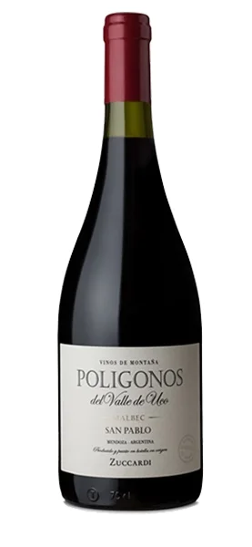 "Polígonos" Malbec San Pablo 2021