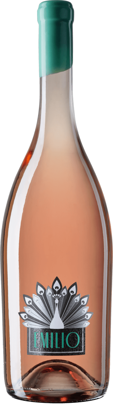Tarima Hill Old Vines - 2021 - Bodegas Volver - Spanischer Rotwein