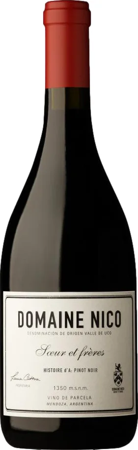 Domaine Nico Histoire d'A Pinot Noir 2022
