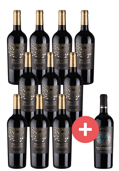Teuta Nero dAvola - 2021 - Casa Vinicola Botter - Italienischer Rotwein
