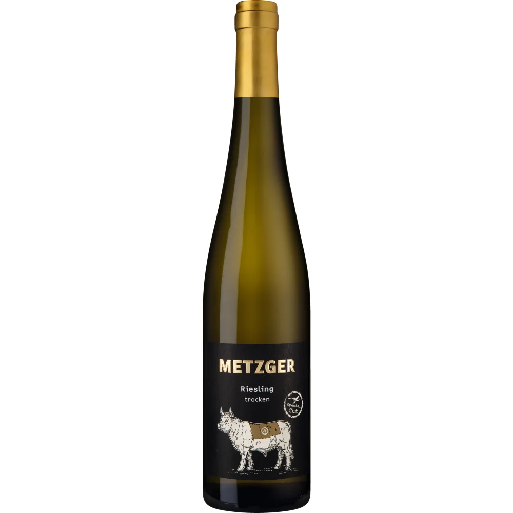 Sonnenberg Riesling Special Cut, Trocken, Pfalz, Pfalz, 2019, Weißwein
